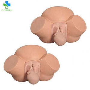 Modèle d'entraînement éducatif en PVC pour l'accouchement, simulateur d'enseignement de la grossesse et de l'accouchement, modèle d'accouchement pour la dystocie, modèle d'accouchement pour les sage-femmes - Product Image 6