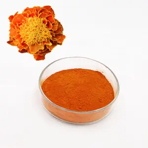 Hot Sale Lutein Bubuk Diambil dari Marigold /Marigold Ekstrak