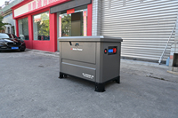 Générateur au gaz naturel 15-20KW à 2 cylindres, ultra silencieux, avec double enveloppe, AVR, vente en gros pour usage agricole
