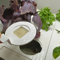 Boîte de culture hydroponique en plastique pour la maison intelligente, pour jardin et usage intérieur, design moderne, machine à planter des oignons