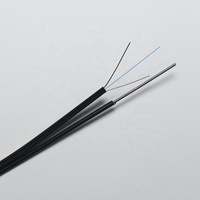Venta Directa de Fábrica: Cable de Fibra Óptica para Exteriores G657A2 de 1.0mm 0.45mm/0.4mm, Cable de Bajada FTTH de 1F, 2KM/Rollo en Caja, Cubierta LSZH/PVC, Garantía de 5 Años