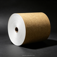 Carton Kraft Haute Résistance (CKB) Blanc/Marron Conforme aux Normes FDA pour Boîtes d'Aliments Surgelés et de Cosmétiques