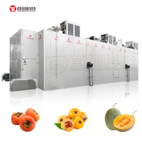 Automatische Fruitdrogende Productielijn Persimmon Loquat Mangosteen Meloen Fruit Mesh Band Droger Machine