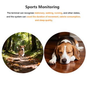 Chuyên nghiệp mini không dây động vật Pet GPS cổ áo tự động gọi điện thoại hoạt động giám sát Dog GPS Tracker với iOS ứng dụng Android - Product Image 3