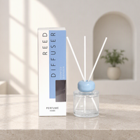 Diffuseur de parfum liquide écologique pour la maison et la voiture, motif personnalisé, 100 ml, avec emballage personnalisé