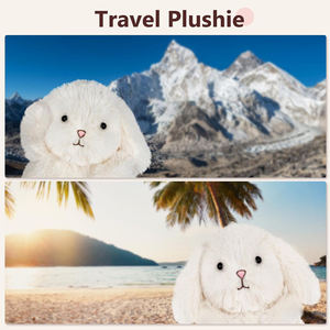 Trending-Producten 2024 Nieuwkomers Op Maat Gemaakte Schattige Konijnenknuffels In De Magnetron Voor Krampen En Pijnverlichting - Product Image 5