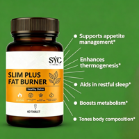 OEM, vente en gros, comprimés brûleurs de graisse naturels à base de plantes Slim Plus, 60 pièces, soutien métabolique et détoxification saine pour adultes