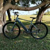 E Mtb 700C Elektro Mountainbike 36V 250W Bicicleta eléctrica con batería oculta Precio barato
