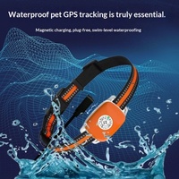 Collier de localisation GPS pour chien et chat, anti-perte, étanche, avec suivi en temps réel, en plastique