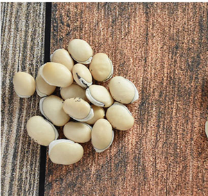 바이 비안 두 자연 생 건조 Dolichos lablab 정액 Dolichoris 앨범 화이트 히아신스 콩 추출하지 않음 - Product Image 2