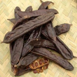 Fructus Gleditschia Seco - Locust Seco de Vietnam - Product Image 2