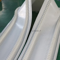 Banda Transportadora Lateral de PVC/PU de Grado Alimenticio Personalizada, Resistente al Desgaste, Antideslizante, de Alta Eficiencia de Transmisión para Alimentos y Bebidas