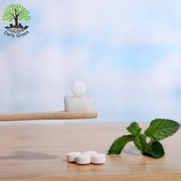 Comprimés de dentifrice à la menthe poivrée 62 pièces - Extrait végétal d'hydroxyapatite Écologique Sans fluor Soins bucco-dentaires pour les voyages