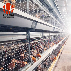 Nouvelle cage volante de chaudière de couche de Type H de Offre Spéciale pour la ferme commerciale de poulet galvanisée plongée à chaud économisent l'espace ISO 9001 certifiée - Product Image 4