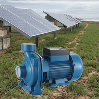 Machine à pompe à eau 48v 15m3/h grand débit 2 pouces 750w Dc pompe centrifuge solaire pompe à eau pour l'agriculture