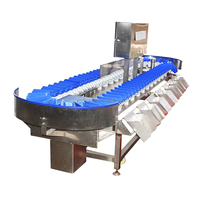 Commerciële 304 Roestvrijstalen Materiaal Gewichtsselectie Machine Plantaardige Zeevruchten Sorteermachine Kiwi Fruit Sorteermachines