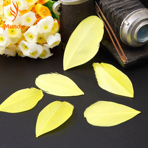 Venta al por Mayor de Plumas de Ganso Flotantes de Colores de 4-8 cm para Manualidades, Accesorios de Ropa y Decoración de Bodas - Product Image 5