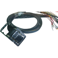 Arnés de Cables Sellado Molex 560152-6622 CTX-J, 66 Pines, 6 Filas, Híbrido, 0.5mm 1mm, Bloqueo de Palanca, -40C 125C, Automotriz, Personalizado