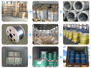 Alambre de Amarre de Acero <span class=keywords><strong>Galvanizado</strong></span> por Inmersión en Caliente de <span class=keywords><strong>Calibre</strong></span> 16 <span class=keywords><strong>20</strong></span>, 2.5 mm, Alambre de Hierro <span class=keywords><strong>Galvanizado</strong></span> para Atar - Product Image 5