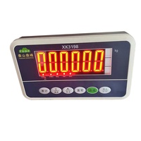 Compteur à affichage LED en plastique XK-3198 avec voyants lumineux, échelles personnalisables, prise en charge OEM/ODM