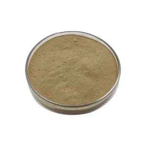 China Suppliers Feed Grade Additives Fish Growth Booster Bacillus licheniformis Wholesale Probiotics