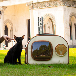 New Arrival Pet Dog Travel Large Capacity Trolley <b>Cat</b> Luggage Pet Cages Portable Double Shoulder <b>Cat</b> Backpack Carrier - Product Image 5