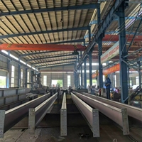 <strong>Best</strong>-<strong>selling</strong> High-quality Customizable-sized Lightweight Steel Structure Modular Metal Component Workshop <strong>Bridge</strong> Products