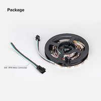 RGBIC 5V Individuellement Adressable 5050 RVB Led Stripe Light WS2812 IC Smart Light