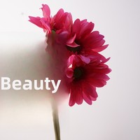 Vente en gros de fleurs artificielles en soie, bouquet de marguerites gerbera à 4 branches, marque MTY, aspect naturel, effet hydratant pour les mains