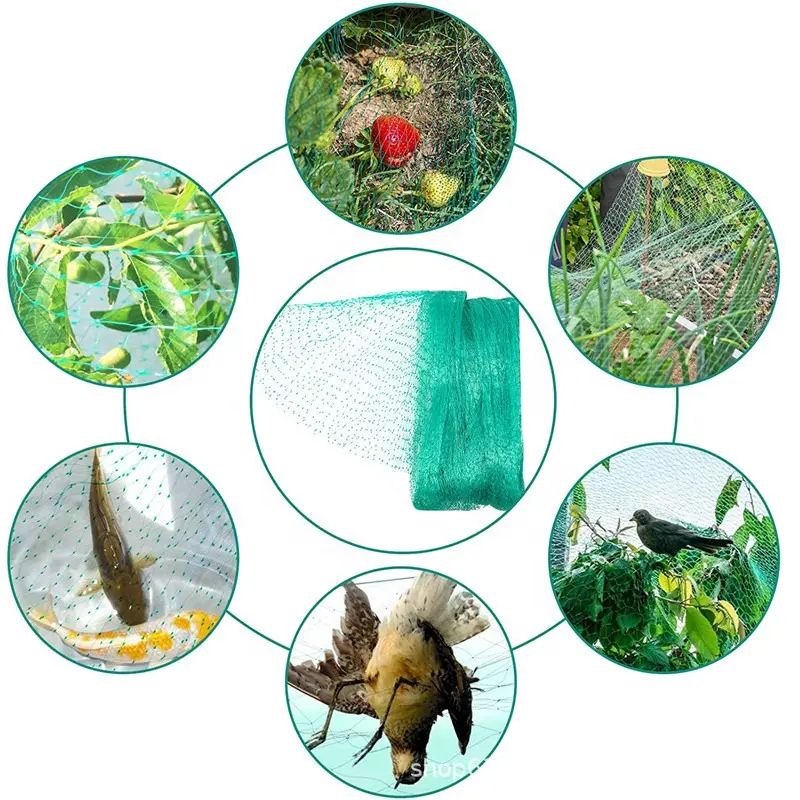 Rede de pássaros para jardim, proteção de plantas vegetais e árvores frutíferas, rede de treliça de plástico para pássaros, veados, esquilos e animais