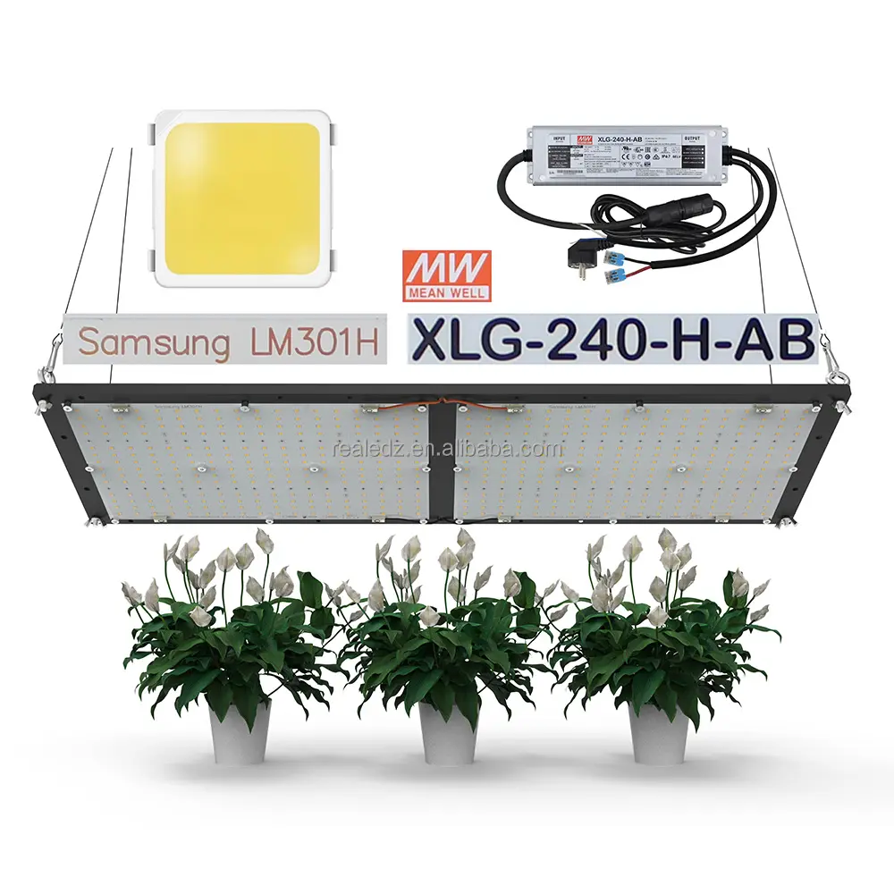 Estares 전체 스펙트럼 MW XLG-240-H-AB 전원 드라이버 240w 양자 LM301H LED V3 플레이트 믹스 660nm UV IR LED 성장 빛