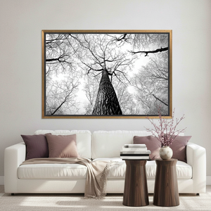Forest Serenity Modern Art Deco Printed Panel <b>Canvas</b> Art for Hanging Wall Decor Clear <b>Framed</b> - Product Image 3