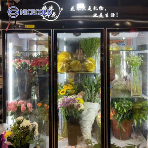 3 cửa Máy làm lạnh hoa tươi trưng bày tủ lạnh hoa tủ lạnh được sử dụng trưng bày cho người bán hoa - Product Image 4