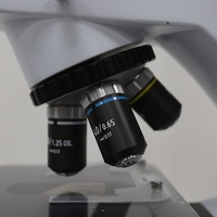 Pour microscope biologique numérique BIOBASE avec WiFi et LCD en stock pour une utilisation en laboratoire médical