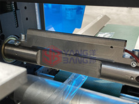 Einweg-Horizontal verpackungs maschine mit mehreren Sätzen Automatische Flowpack-Verpackungs maschine aus Edelstahl aus Holz