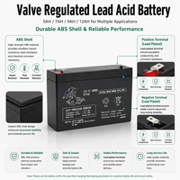 Batterie rechargeable 12V 7Ah pour pulvérisateur à dos agricole