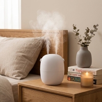 Humidificateurs rechargeables avec buse de brumisation, mini humidificateur électrique portable USB pour chambre à coucher, bureau et maison