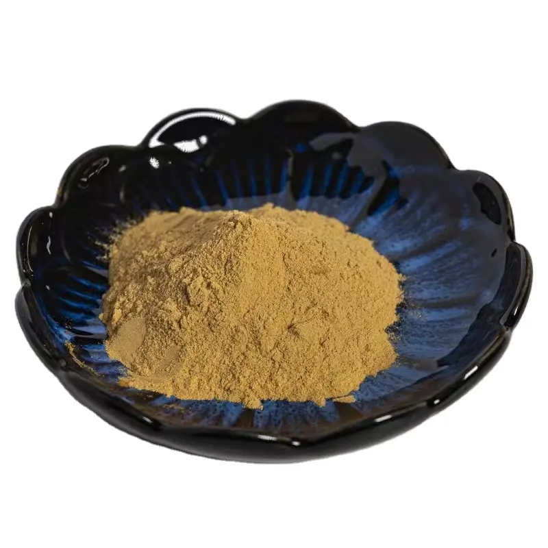 Food Grade High Quality Peppermint Extract 10:1