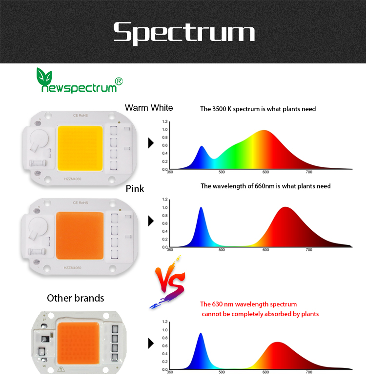 220v 50w Led Cob Chip 60 Hz For Hydroponic Flowers Greenhouse