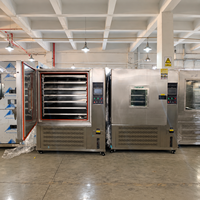 Fermenteur d'ail noir entier, machine de fermentation automatique, contrôle de la température et de l'humidité, acier inoxydable