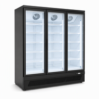 Vitrine Réfrigérée Commerciale pour Gelato et Crème Glacée -24 Degrés, Réfrigérateur Vertical avec Porte Vitrée pour Salon de Desserts