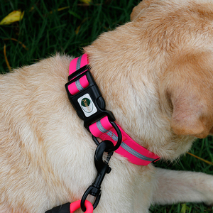 Collar de Perro Personalizado 2025, Nuevo, al por Mayor, Impermeable, Reflectante, Recubierto de PVC, con Patrón Sólido, Cinta de Nailon, Desmontable - Product Image 3