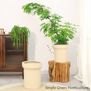 <span class=keywords><strong>Maceta</strong></span> Nórdica Minimalista para Sala de Estar, Balcón, Pasillo, de Gran Calibre, Tipo Pata de Pato, Cilíndrica Recta, para Exteriores YX141 - Product Image 1