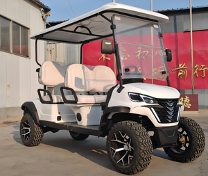Carrito de Golf Tarion 2026 con Certificación CE, 4 Plazas, Velocidad de 35 KM/H, Capacidad de Subida del 20-25%, Alcance de 90 KM, 60V, Larga Duración y Flexible - Product Image 2