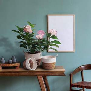 Wholesale price Indoor <b>Plant</b> <b>Basket</b> Planters Stylish Flower <b>Pots</b> for Your Indoor <b>Plants</b> - Product Image 6