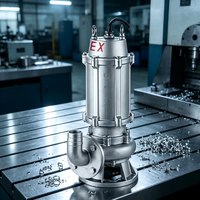 Pompe submersible antidéflagrante en acier inoxydable 304 pour eaux usées, 380V, drainage industriel des eaux usées, dragage minier, OEM de haute performance