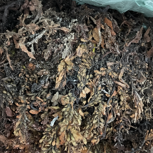 HB100% EDFFTTNUUALY Y AANNN/ - Product Image 1