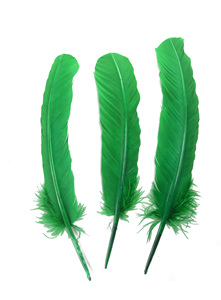 Pluma de Pavo Real <span class=keywords><strong>Auga</strong></span> para Manualidades, Tocados, Sombreros, Disfraces, Cosplay, Accesorios, Carnaval, Fiesta, Boda, Decoración Floral para el Hogar - Product Image 4