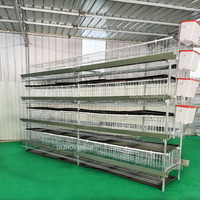 Cage à poulets en métal galvanisé de type H, cage à poulets pour la ponte des œufs