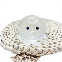 Jouet anti-stress Octopus Bubble Popping Squishy Transparent pour presser les boutons, unisexe, tous âges